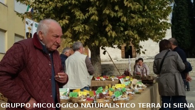 Mostra Micologica a Monticiano
