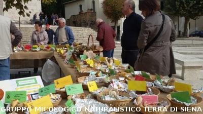 Mostra Micologica a Monticiano