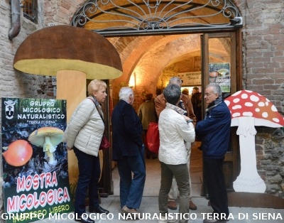 XVIII Mostra Micologica Senese