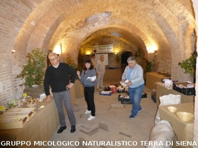 XVIII Mostra Micologica Senese