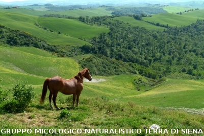 Le crete da Mucigliani a Leonina