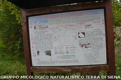 Fumarole di San Filippo e Fosso Bianco