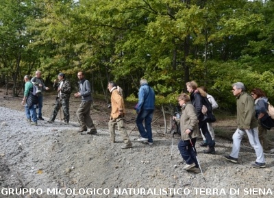 Fumarole di San Filippo e Fosso Bianco