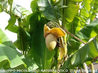 Escursione naturalistica