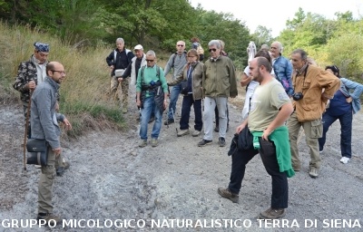 Fumarole di San Filippo e Fosso Bianco