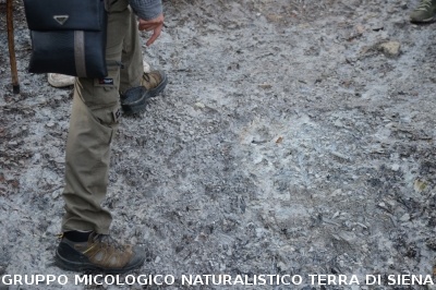 Fumarole di San Filippo e Fosso Bianco