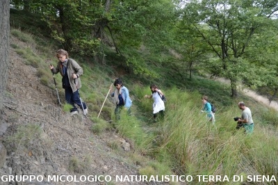 Fumarole di San Filippo e Fosso Bianco