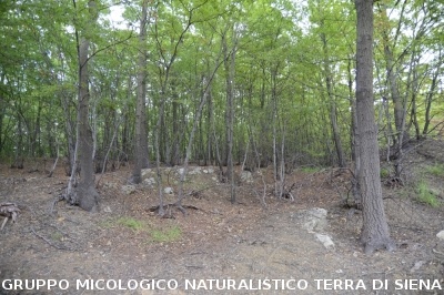 Fumarole di San Filippo e Fosso Bianco