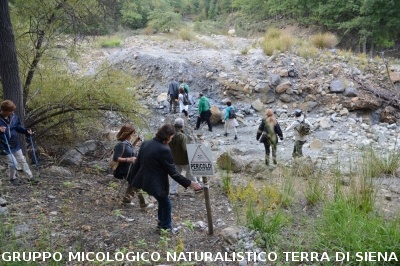 Fumarole di San Filippo e Fosso Bianco