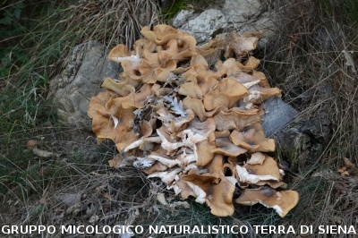 Fumarole di San Filippo e Fosso Bianco