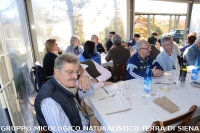 Raccolta funghi a Pentolina e pranzo a San Galgano