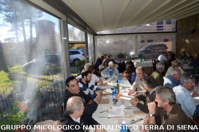 Raccolta funghi a Pentolina e pranzo a San Galgano