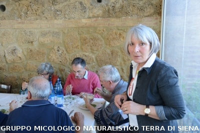 Raccolta funghi a Pentolina e pranzo a San Galgano