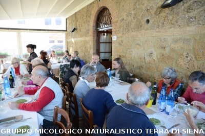 Raccolta funghi a Pentolina e pranzo a San Galgano