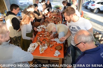 Raccolta funghi a Pentolina e pranzo a San Galgano