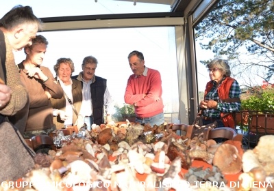 Raccolta funghi a Pentolina e pranzo a San Galgano