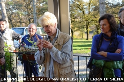 Raccolta funghi a Pentolina e pranzo a San Galgano