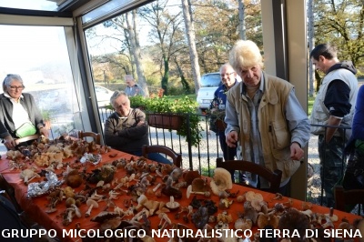 Raccolta funghi a Pentolina e pranzo a San Galgano