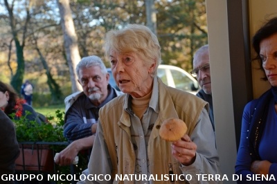 Raccolta funghi a Pentolina e pranzo a San Galgano