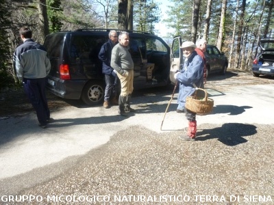 A Vallombrosa alla ricerca del dormiente