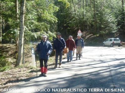 A Vallombrosa alla ricerca del dormiente