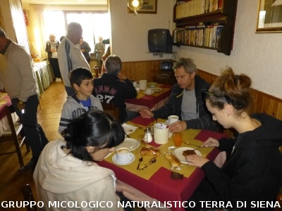 Sul Monte Amiata alla ricerrca del prugnolo
