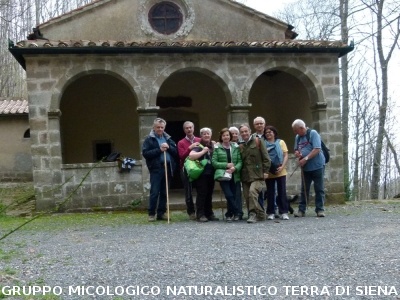 Sul Monte Amiata alla ricerrca del prugnolo