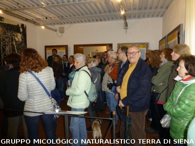 Sul Monte Amiata alla ricerrca del prugnolo