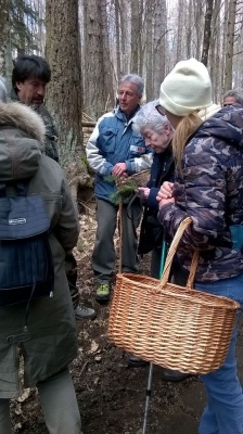 Sul Monte Amiata alla ricerca del 