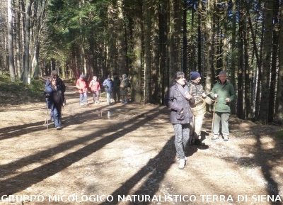 Sul Monte Amiata alla ricerca del 