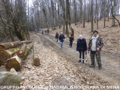 Sul Monte Amiata alla ricerca del 