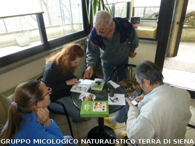 Sul Monte Amiata alla ricerca del 