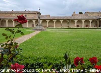Visita alla Certosa di Pontignano