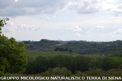 Visita alla Certosa di Pontignano