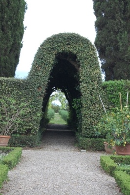Visita alla Certosa di Pontignano