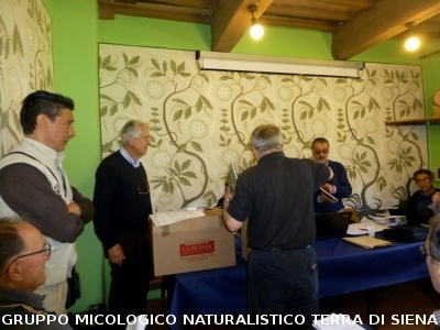 Consiglio Direttivo AGMT a Siena