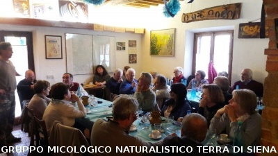Escursione micologica a Monticiano e pranzo a Scalvaia