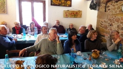 Escursione micologica a Monticiano e pranzo a Scalvaia