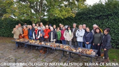 Escursione micologica a Monticiano e pranzo a Scalvaia
