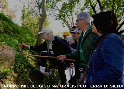 Escursione naturalistica a Roselle 