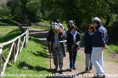 Escursione naturalistica a Roselle 