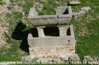Escursione naturalistica a Roselle 
