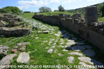 Escursione naturalistica a Roselle 