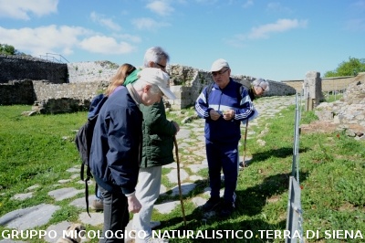 Escursione naturalistica a Roselle 