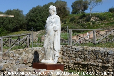 Escursione naturalistica a Roselle 