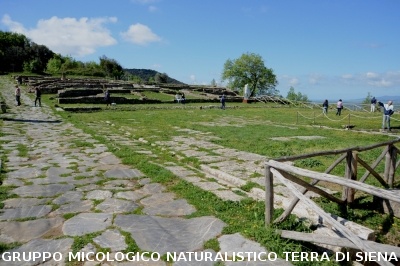 Escursione naturalistica a Roselle 