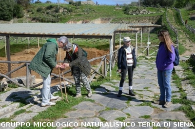 Escursione naturalistica a Roselle 