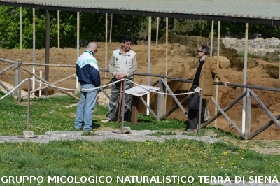 Escursione naturalistica a Roselle 