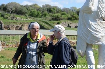 Escursione naturalistica a Roselle 