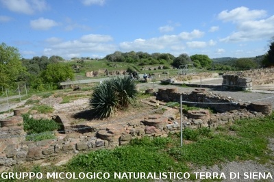 Escursione naturalistica a Roselle 